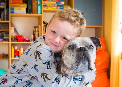 hundgestützte Therapie