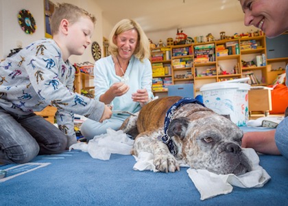 hundgestützte Therapie
